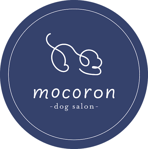 【松屋町駅徒歩2分】Dog Salon Mocoron | 大阪市中央区のトリミングサロン